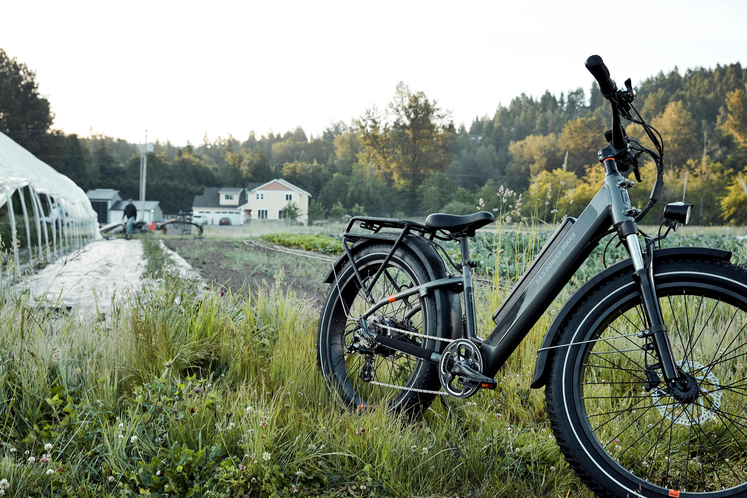 A green Rad ebike parked on a grassy waterfront lane