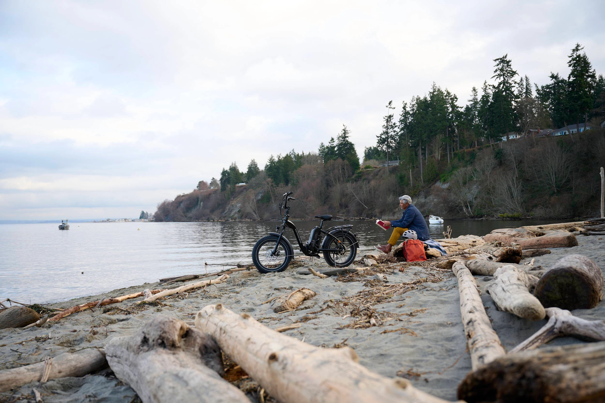 A Rad electric tricycle parked on a driftwood beach by the water